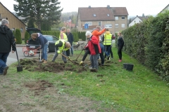 Blumenzwiebeln4
