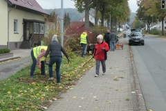 Blumenzwiebeln8